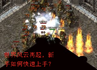 �����������������ο������֣�