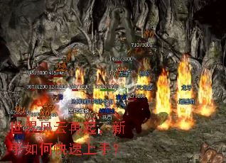 �����������������ο������֣�