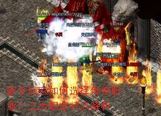 ����������ѡ����ְҵ������ְҵ�ص����