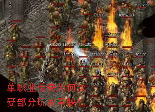 ��ְҵ����Ϊ�����ܲ������������