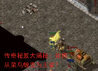 �������Ŵ���أ���δӲ����ɱ�Ϊ���ߣ�