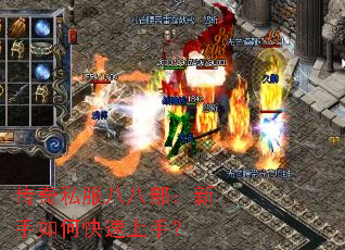 ����˽���˰˲���������ο������֣�