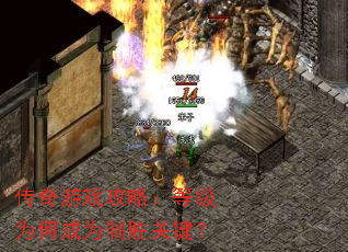 ������Ϸ���ԣ��ȼ�Ϊ�γ�Ϊ��ʤ�ؼ���