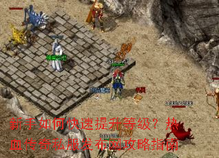 ������ο��������ȼ�����Ѫ����˽������������ָ��