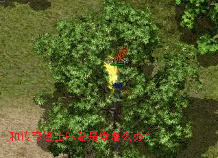 �ʹ����ʿPK��������ô�죿
