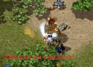 ����˽��������ε����߼�BOSS��