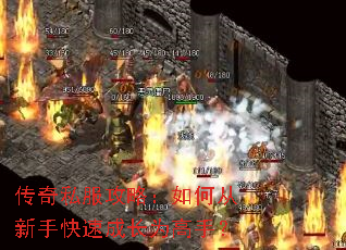 ����˽�����ԣ���δ����ֿ��ٳɳ�Ϊ���֣�