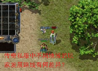 ����˽���в�ͬ�������ҷ�չ·���кβ��죿