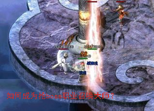 ��γ�Ϊ��bossְҵ�ٻ���ʦ��