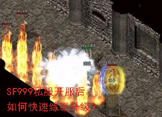 SF999˽����������ο�������������