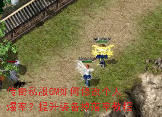 ����˽��GM����޸ĸ��˱��ʣ�����װ�������ʽ̳�