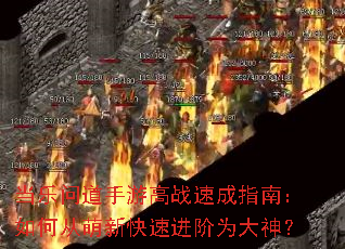 �����ʵ����θ�ս�ٳ�ָ�ϣ���δ����¿��ٽ���Ϊ����