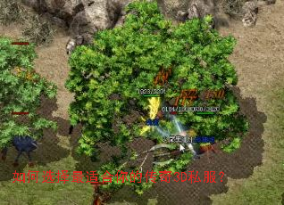 ���ѡ�����ʺ���Ĵ���3D˽����