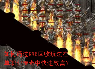 ���ͨ��RMB�����淨�ڵ�ְҵ�����п����¸���