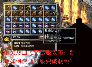 圣灵热血传奇私服攻略:新手如何快速升级突破瓶颈? 圣灵热血传奇私服攻略:新手如何快速升级突破瓶颈?