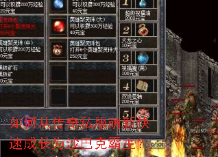 如何从传奇私服萌新快速成长为沙巴克霸主? 如何从传奇私服萌新快速成长为沙巴克霸主?