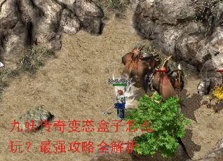 ���������̬������ô�棿��ǿ����ȫ����