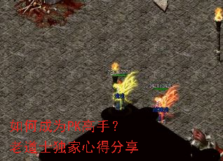如何成为PK高手?老道士独家心得分享 如何成为PK高手?老道士独家心得分享