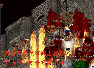 传奇精武英雄武士篇攻略全解析?新手必看指南 传奇精武英雄武士篇攻略全解析?新手必看指南