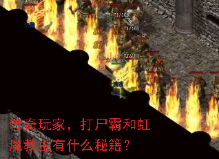 传奇玩家,打尸霸和虹魔教主有什么秘籍? 传奇玩家,打尸霸和虹魔教主有什么秘籍?
