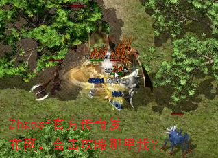 Zhaosf�ٷ����淢�������ϻ����������ң�