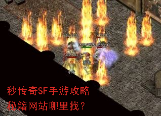 �봫��SF���ι����ؼ���վ�����ң�