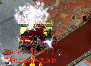 �汦������ѡ��ʿ������ְҵѡ����Ƚ���
