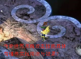 传奇世界黑暗攻击技能具体有哪些实战用途与效果? 传奇世界黑暗攻击技能具体有哪些实战用途与效果?