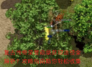 复古传奇荣誉勋章获取途径全解析?攻略指南助你轻松收集 复古传奇荣誉勋章获取途径全解析?攻略指南助你轻松收集