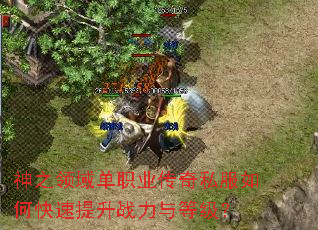 神之领域单职业传奇私服如何快速提升战力与等级? 神之领域单职业传奇私服如何快速提升战力与等级?