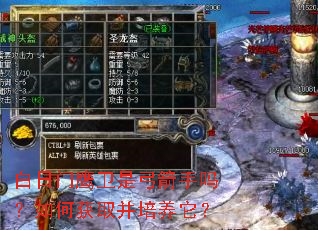 白日门鹰卫是弓箭手吗?如何获取并培养它? 白日门鹰卫是弓箭手吗?如何获取并培养它?