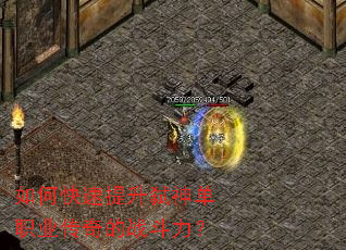 如何快速提升弑神单职业传奇的战斗力? 如何快速提升弑神单职业传奇的战斗力?