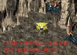 �����¿�������վ������ɭ�ֵ��������ص�ͼ��ν��룿