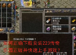 �����ȷ���ذ�װ223������԰���沢����������Ϸ��