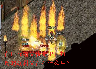 在1.76精品传奇里,打到的战利品都有什么用? 在1.76精品传奇里,打到的战利品都有什么用?