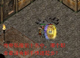 传奇私服前十名中,哪个职业最适合新手快速起步? 传奇私服前十名中,哪个职业最适合新手快速起步?