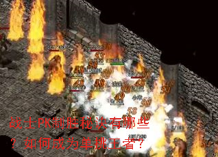 սʿPK��ʤ�ؾ�����Щ����γ�Ϊ�������ߣ�