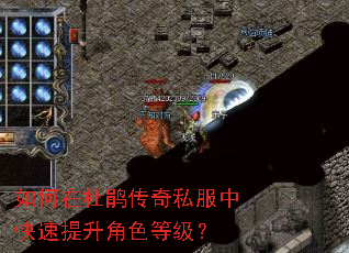 如何在杜鹃传奇私服中快速提升角色等级? 如何在杜鹃传奇私服中快速提升角色等级?