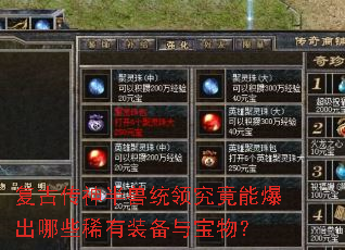 ���Ŵ������ͳ�쾿���ܱ�����Щϡ��װ���뱦�