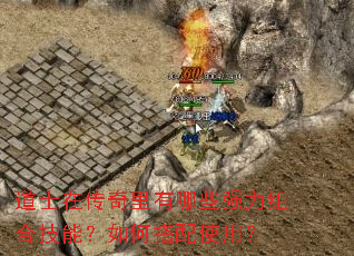 ��ʿ�ڴ���������Щǿ����ϼ��ܣ���δ���ʹ�ã�