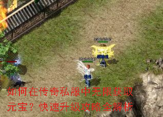 如何在传奇私服中无限获取元宝?快速升级攻略全解析 如何在传奇私服中无限获取元宝?快速升级攻略全解析