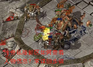 传奇私服新区如何查看人物信息?求详细步骤 传奇私服新区如何查看人物信息?求详细步骤