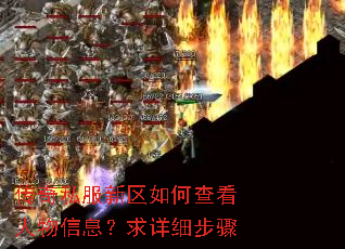 ����˽��������β鿴������Ϣ������ϸ����
