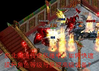 东北网通传奇私服中,如何快速提升角色等级与获取高级装备? 东北网通传奇私服中,如何快速提升角色等级与获取高级装备?