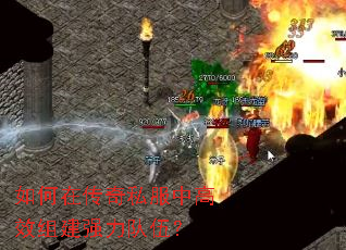 如何在传奇私服中高效组建强力队伍? 如何在传奇私服中高效组建强力队伍?