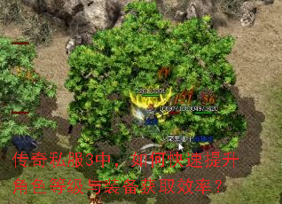 传奇私服3中,如何快速提升角色等级与装备获取效率? 传奇私服3中,如何快速提升角色等级与装备获取效率?