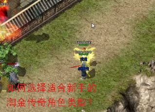 如何选择适合新手的淘金传奇角色类型? 如何选择适合新手的淘金传奇角色类型?