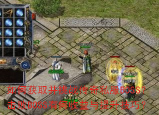 ��λ�ȡ����ս����˽��BOSS������BOSS�к��������������ɣ�