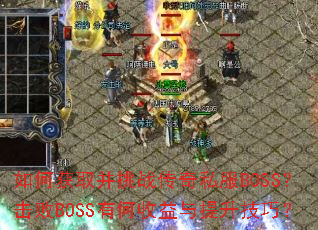 ��λ�ȡ����ս����˽��BOSS������BOSS�к��������������ɣ�