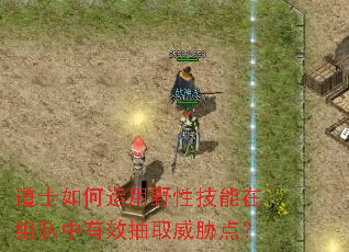 道士如何运用野性技能在组队中有效抽取威胁点? 道士如何运用野性技能在组队中有效抽取威胁点?